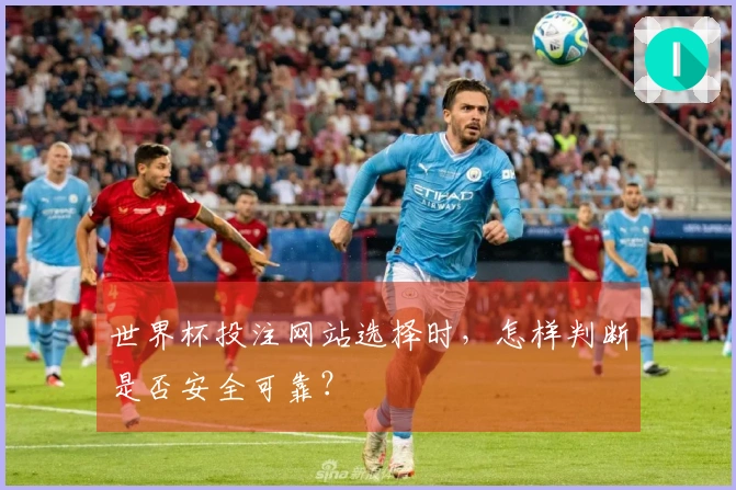 世界杯投注网站选择时，怎样判断是否安全可靠？