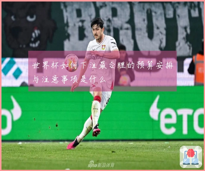 世界杯如何下注最合理的预算安排与注意事项是什么