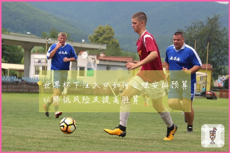 世界杯下注入口如何合理安排预算以降低风险及提高胜算