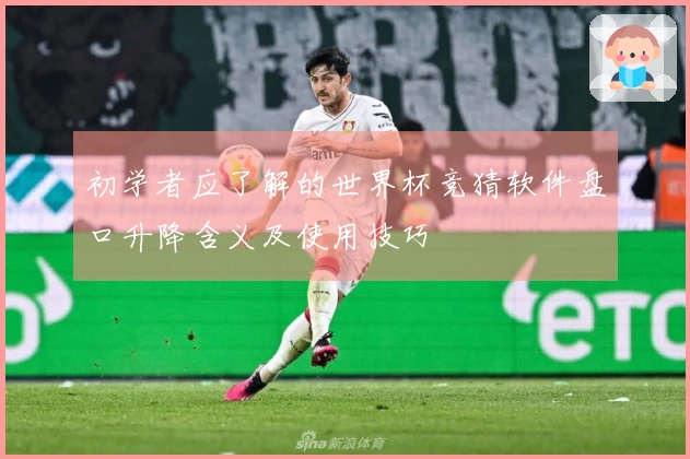 初学者应了解的世界杯竞猜软件盘口升降含义及使用技巧