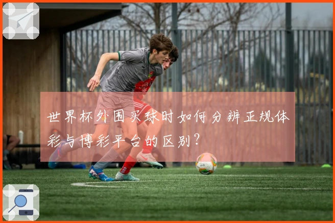 世界杯外围买球时如何分辨正规体彩与博彩平台的区别？