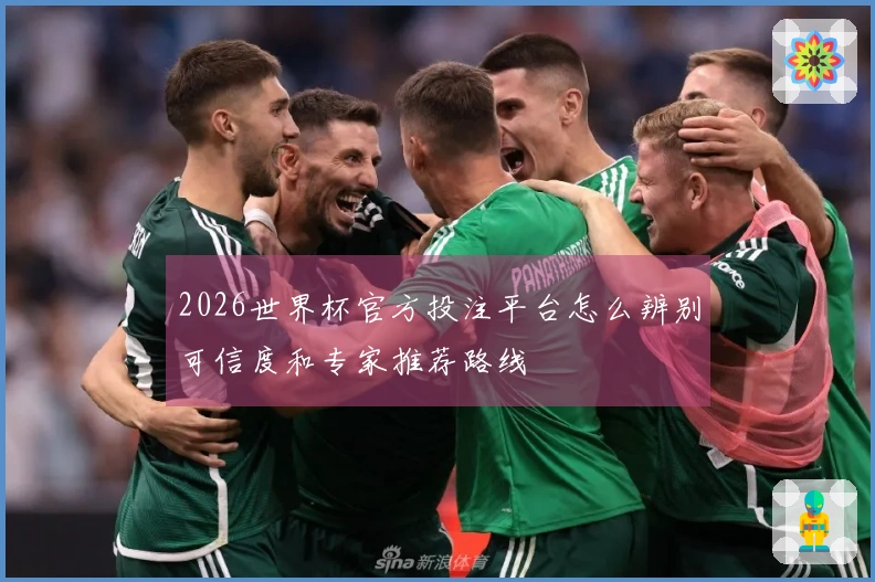 2026世界杯官方投注平台怎么辨别可信度和专家推荐路线