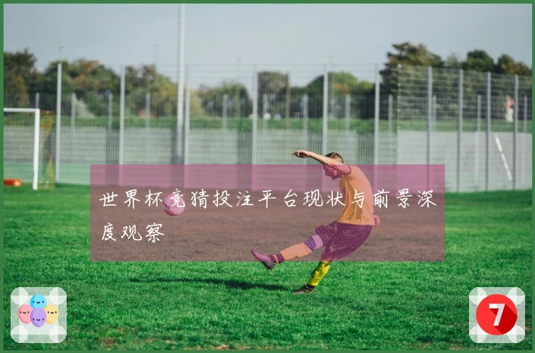 世界杯竞猜投注平台现状与前景深度观察
