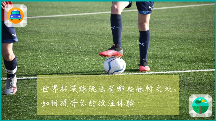 世界杯滚球玩法有哪些独特之处，如何提升你的投注体验