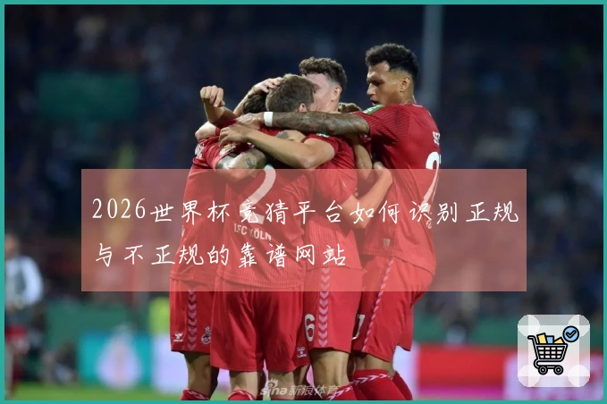 2026世界杯竞猜平台如何识别正规与不正规的靠谱网站
