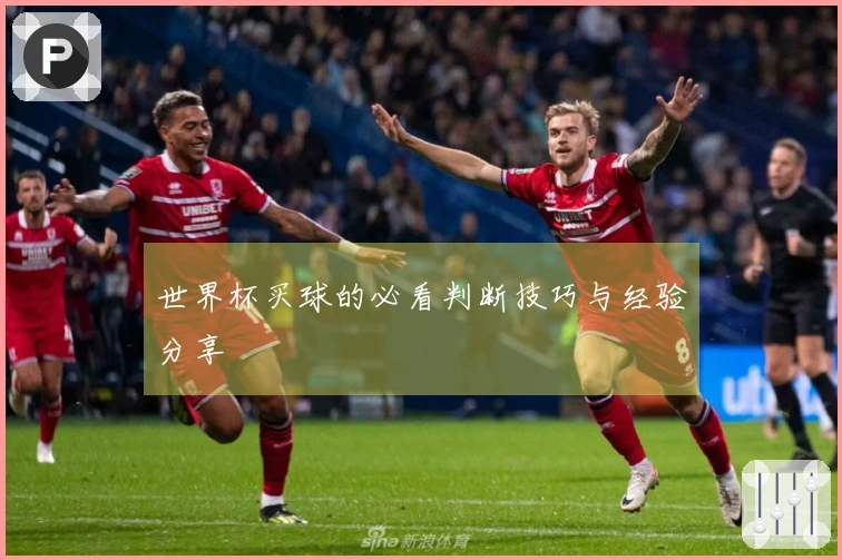 世界杯买球的必看判断技巧与经验分享