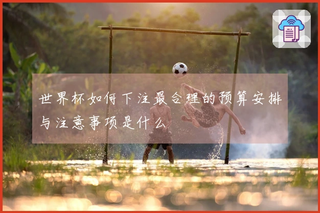 世界杯如何下注最合理的预算安排与注意事项是什么