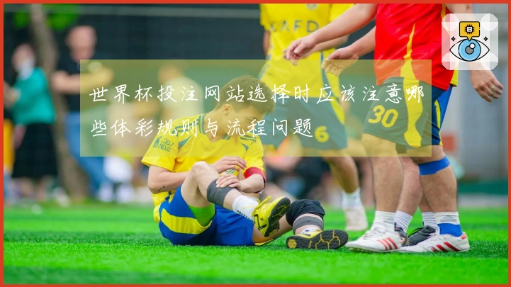 世界杯投注网站选择时应该注意哪些体彩规则与流程问题