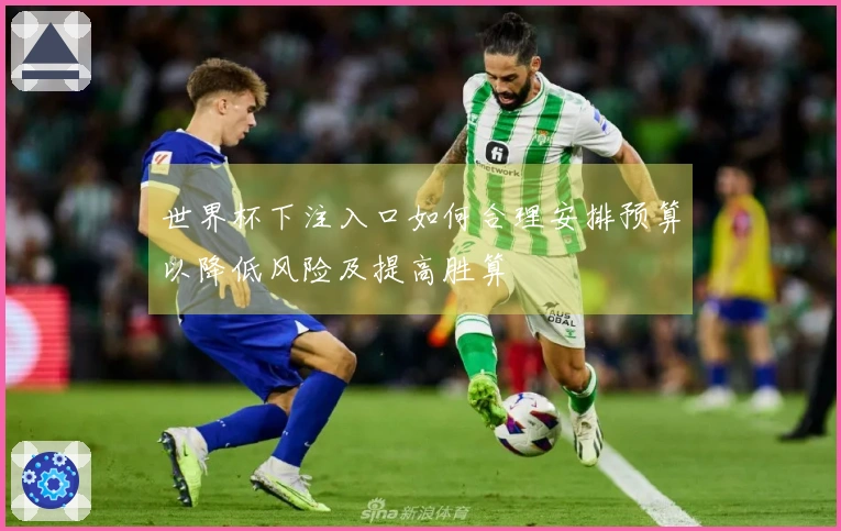 世界杯下注入口如何合理安排预算以降低风险及提高胜算