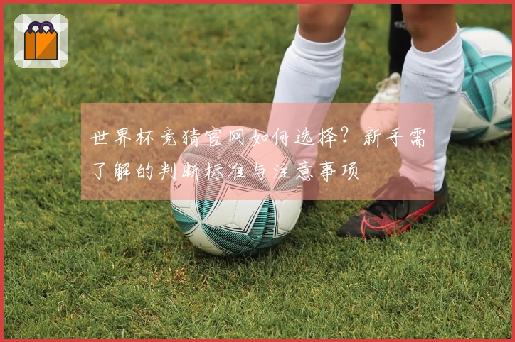 世界杯竞猜官网如何选择？新手需了解的判断标准与注意事项