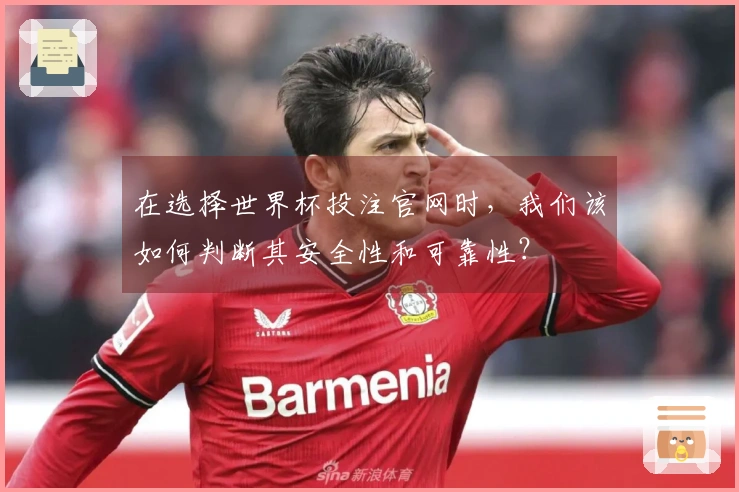 在选择世界杯投注官网时，我们该如何判断其安全性和可靠性？
