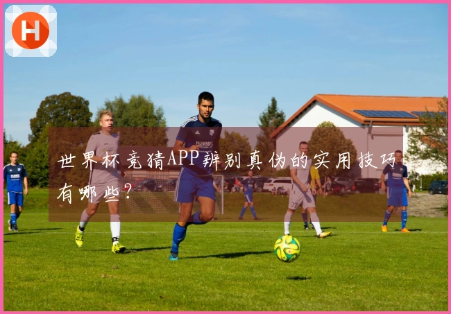 世界杯竞猜APP辨别真伪的实用技巧有哪些？