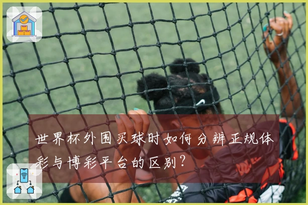 世界杯外围买球时如何分辨正规体彩与博彩平台的区别？