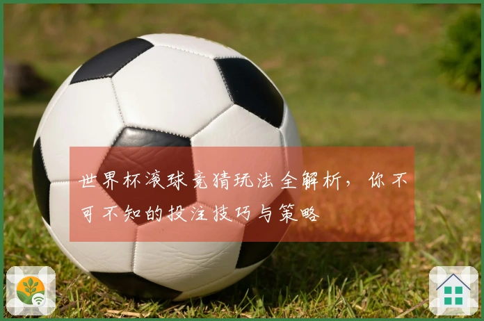 世界杯滚球竞猜玩法全解析，你不可不知的投注技巧与策略