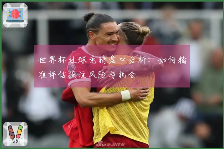 世界杯让球竞猜盘口分析：如何精准评估投注风险与机会