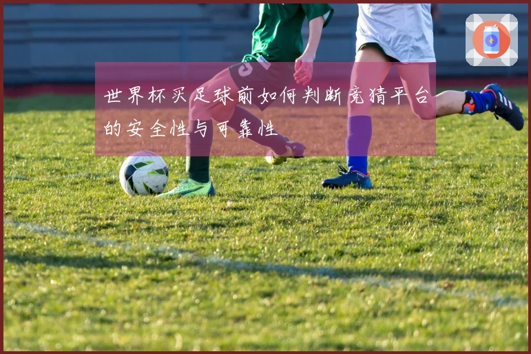 世界杯买足球前如何判断竞猜平台的安全性与可靠性