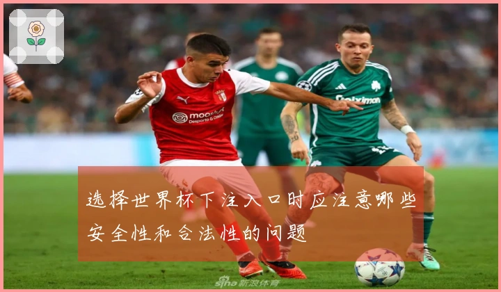 选择世界杯下注入口时应注意哪些安全性和合法性的问题