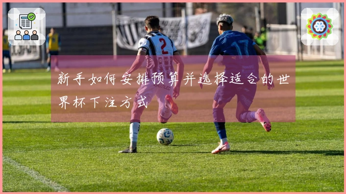 新手如何安排预算并选择适合的世界杯下注方式