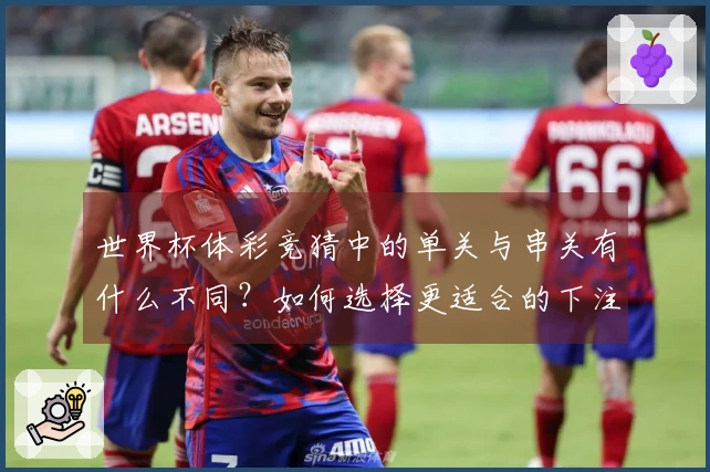 世界杯体彩竞猜中的单关与串关有什么不同？如何选择更适合的下注方式？