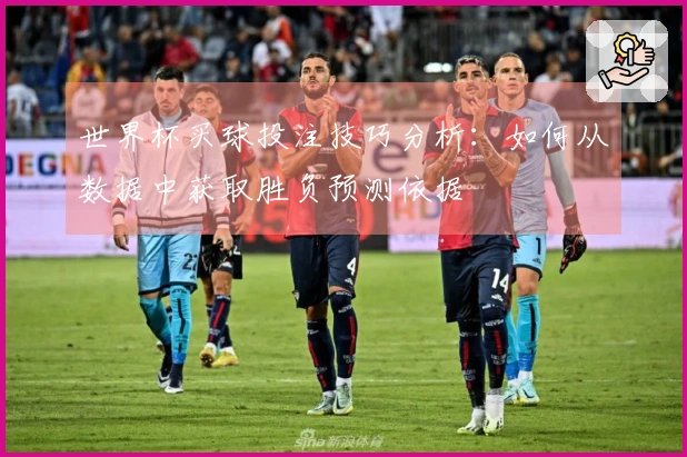 世界杯买球投注技巧分析：如何从数据中获取胜负预测依据