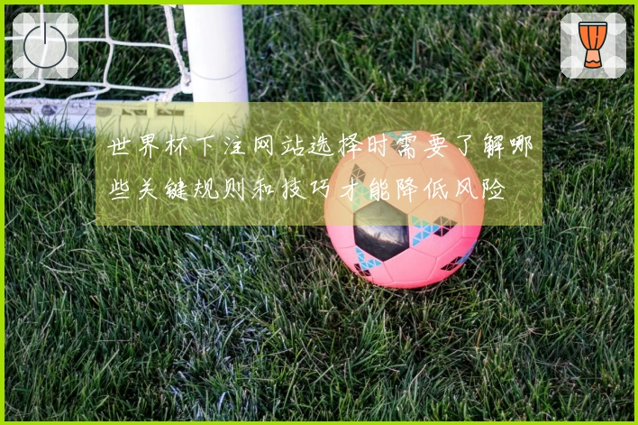 世界杯下注网站选择时需要了解哪些关键规则和技巧才能降低风险