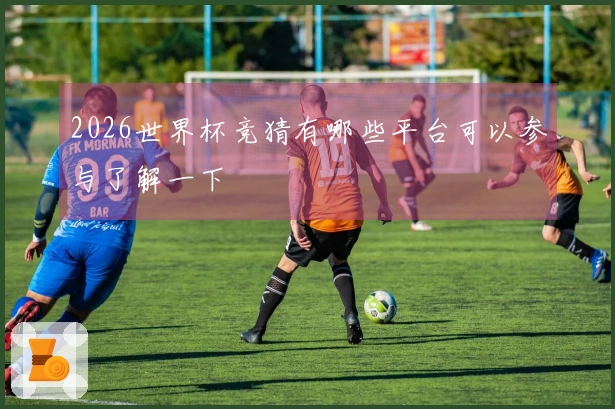 2026世界杯竞猜有哪些平台可以参与了解一下