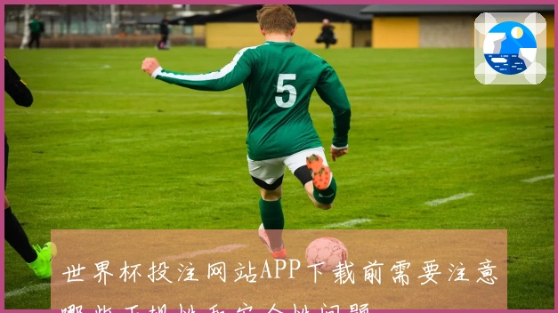世界杯投注网站APP下载前需要注意哪些正规性和安全性问题
