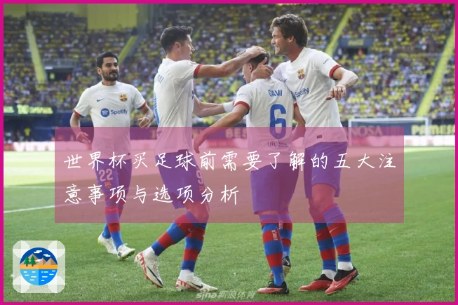 世界杯买足球前需要了解的五大注意事项与选项分析