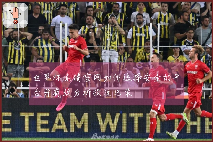 世界杯竞猜官网如何选择安全的平台并有效分析投注记录