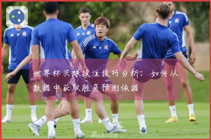 世界杯买球投注技巧分析：如何从数据中获取胜负预测依据