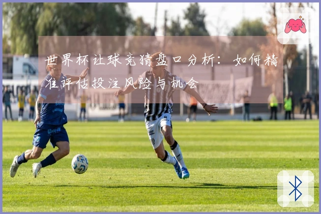 世界杯让球竞猜盘口分析：如何精准评估投注风险与机会