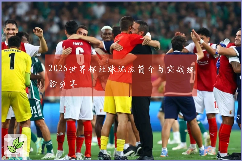2026世界杯让球玩法简介与实战经验分享
